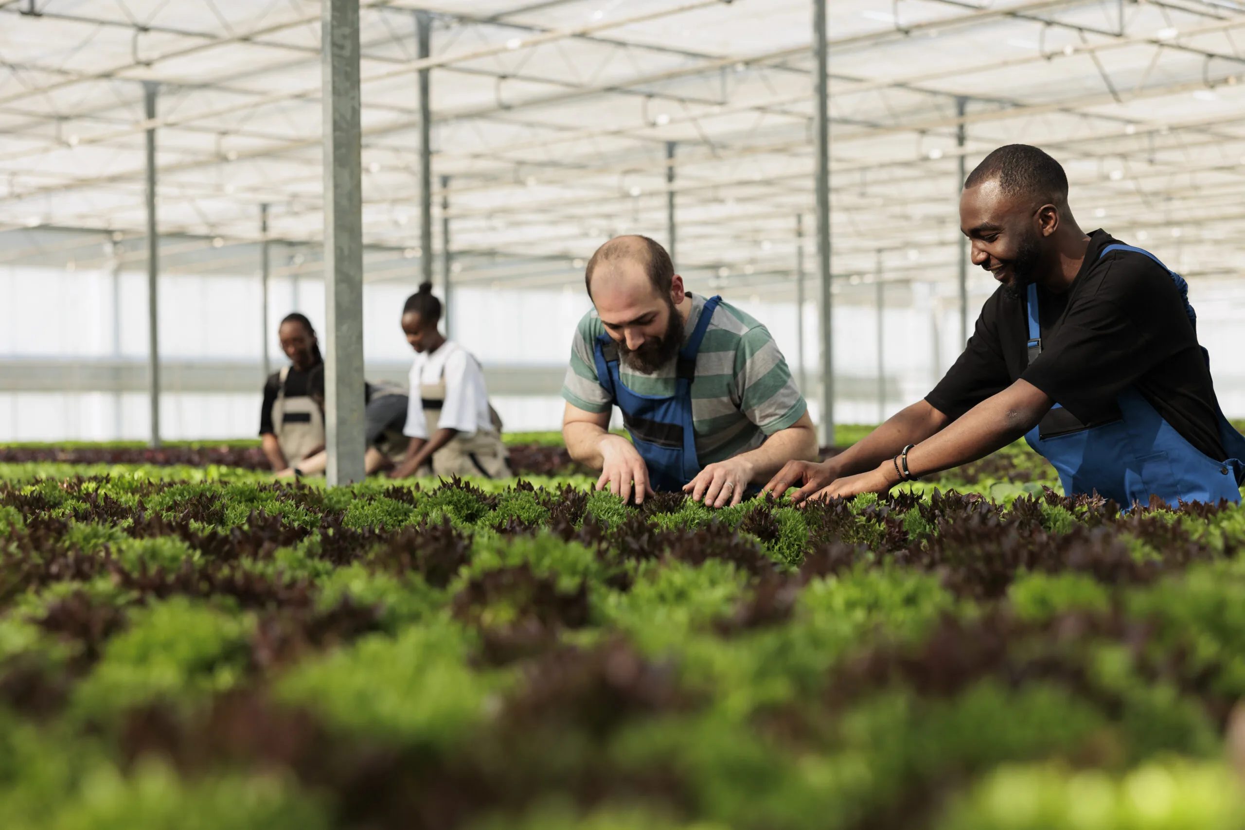 Fertilité du sol améliorée par des solutions durables