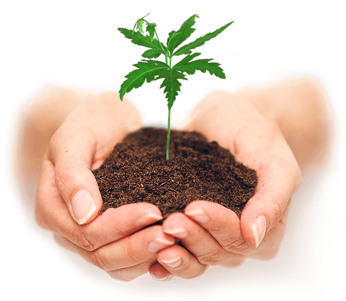 Solution agricole pour la croissance des cultures bio