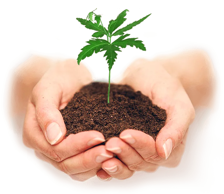 Solution agricole pour la croissance des cultures bio