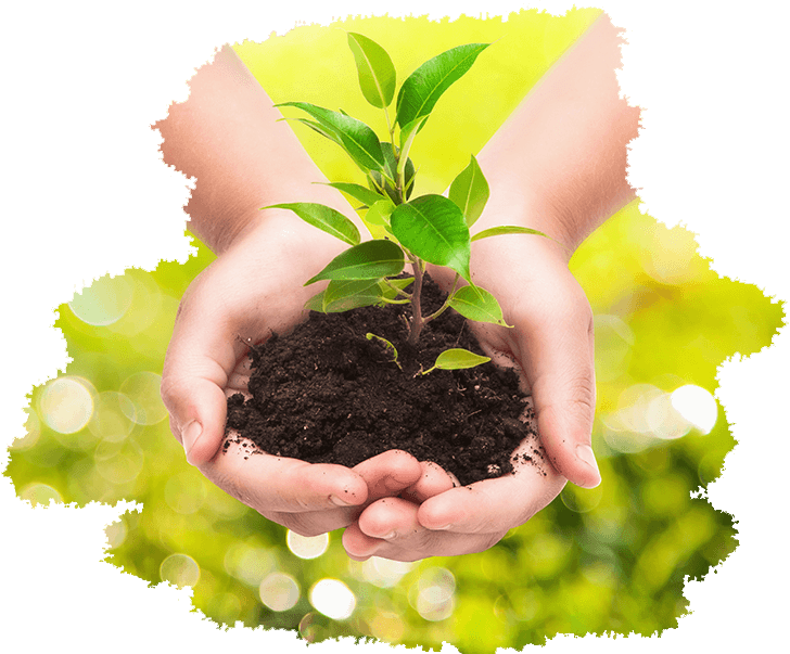 Santé des cultures par des solutions innovantes