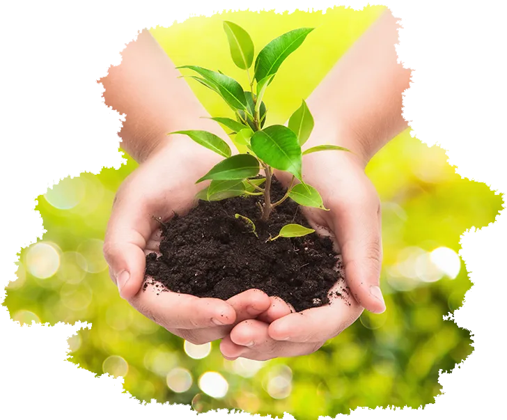 Santé des cultures par des solutions innovantes