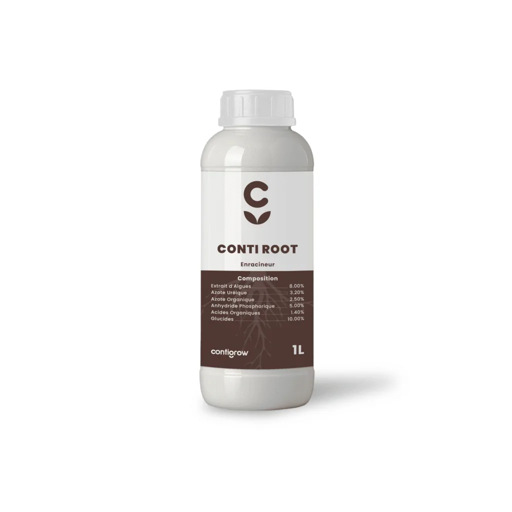 Conti Root