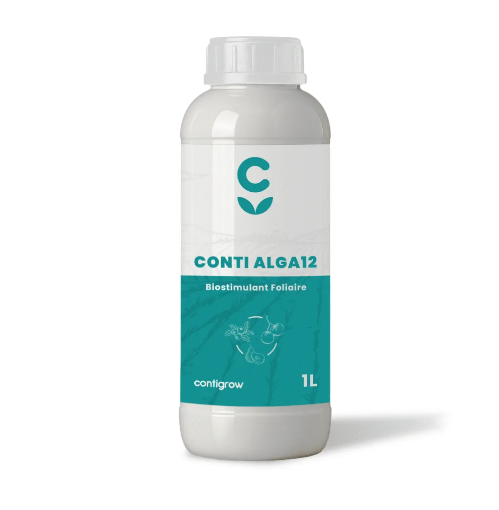 Conti Algamax