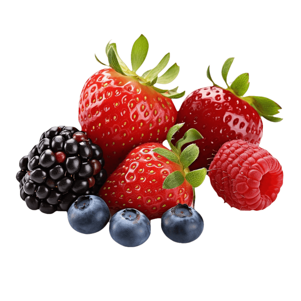 Fertilisation Fruits Rouges Maroc : Rendement & Export
